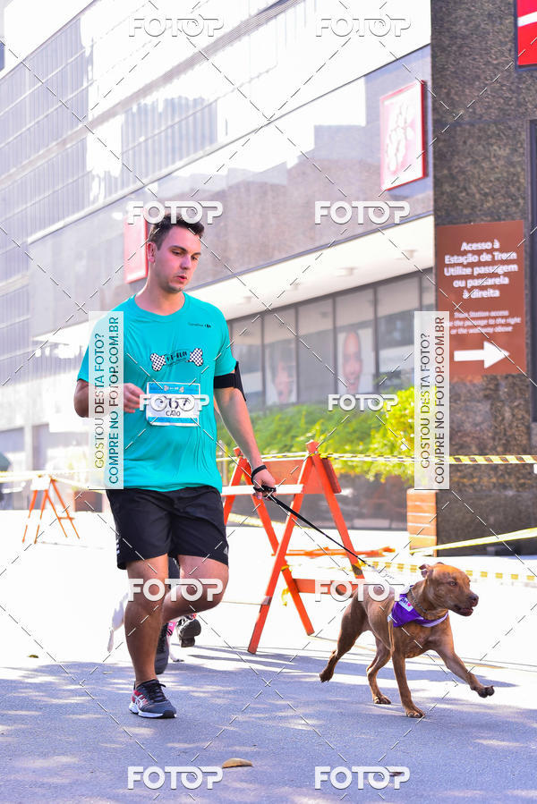 Buy your photos of the event2 Pet Run Shopping Eldorado  on Fotop