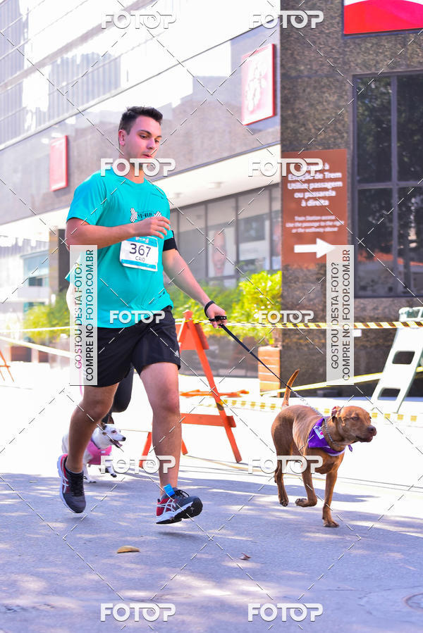 Buy your photos of the event2 Pet Run Shopping Eldorado  on Fotop