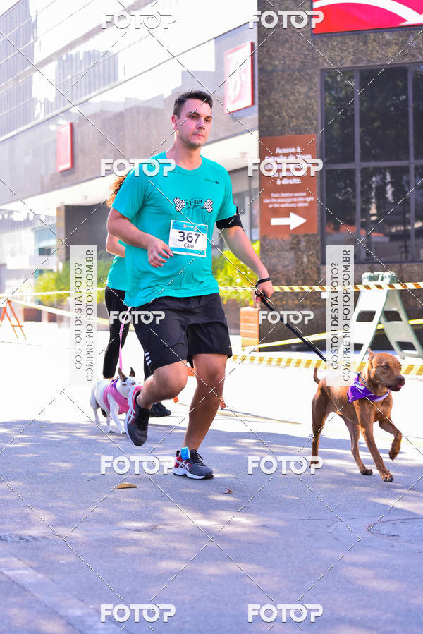 Buy your photos of the event2 Pet Run Shopping Eldorado  on Fotop