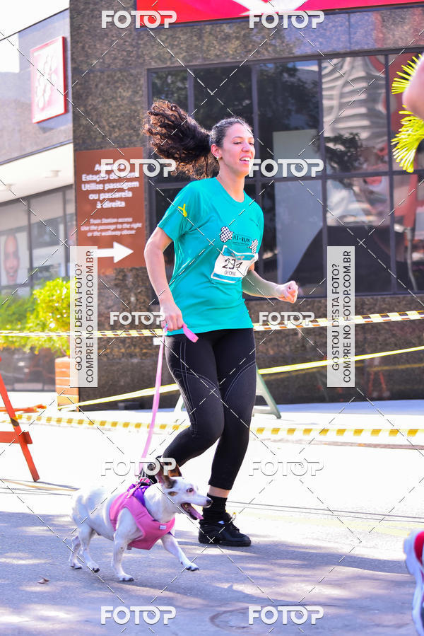Buy your photos of the event2 Pet Run Shopping Eldorado  on Fotop