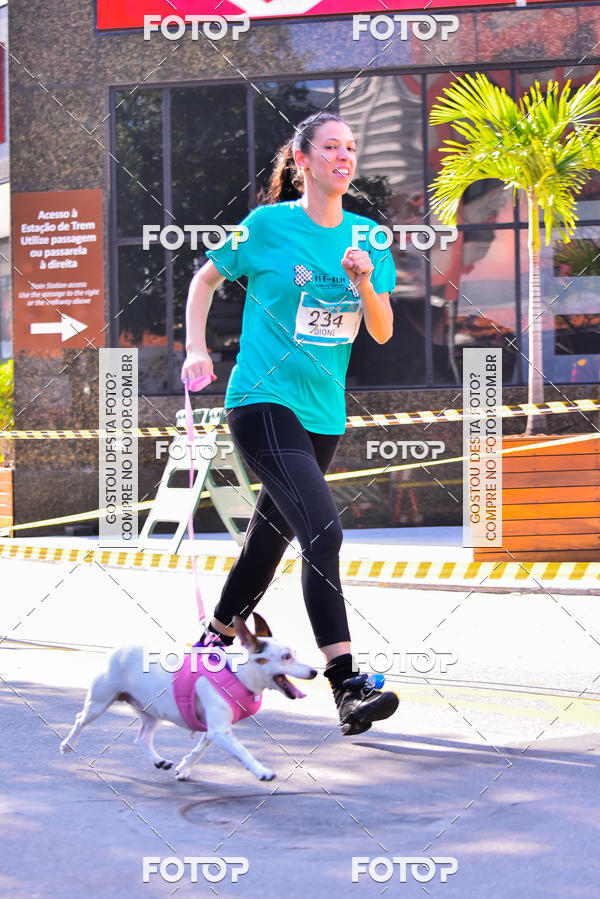 Buy your photos of the event2 Pet Run Shopping Eldorado  on Fotop