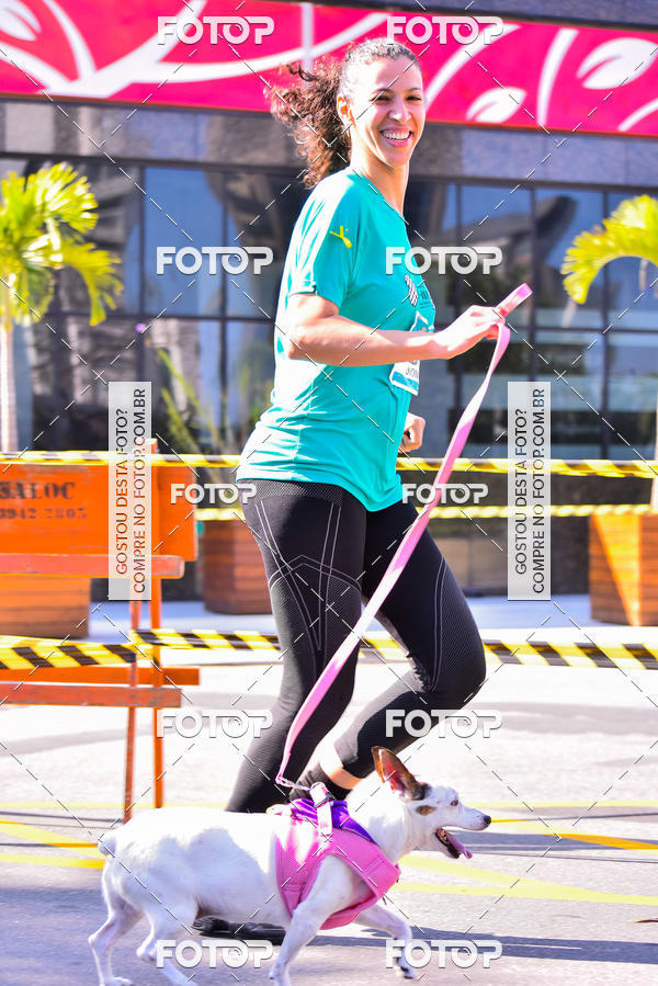 Buy your photos of the event2 Pet Run Shopping Eldorado  on Fotop