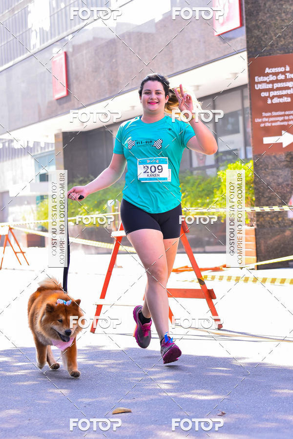 Buy your photos of the event2 Pet Run Shopping Eldorado  on Fotop