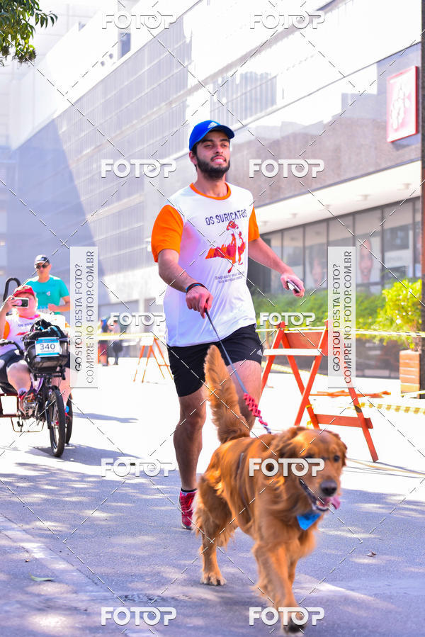 Buy your photos of the event2 Pet Run Shopping Eldorado  on Fotop
