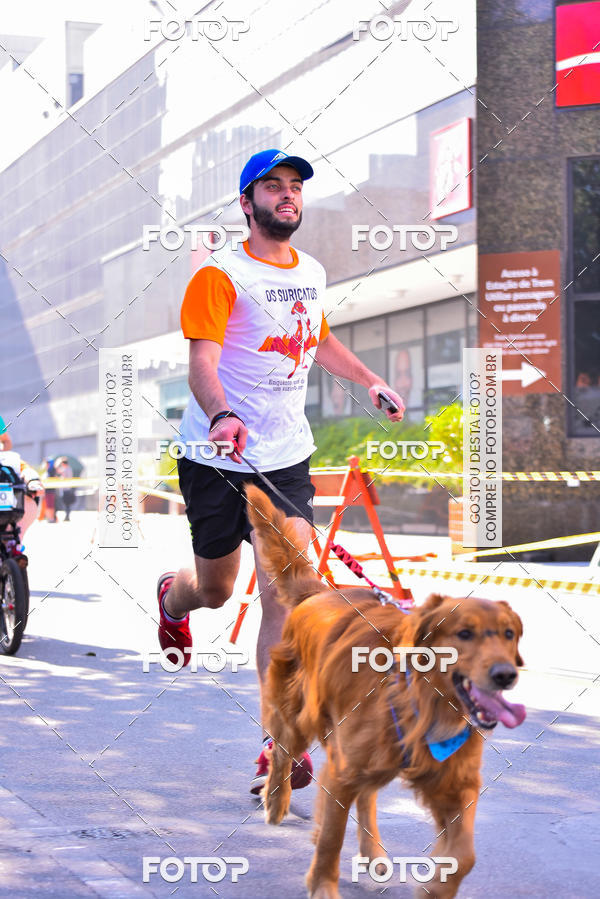 Buy your photos of the event2 Pet Run Shopping Eldorado  on Fotop