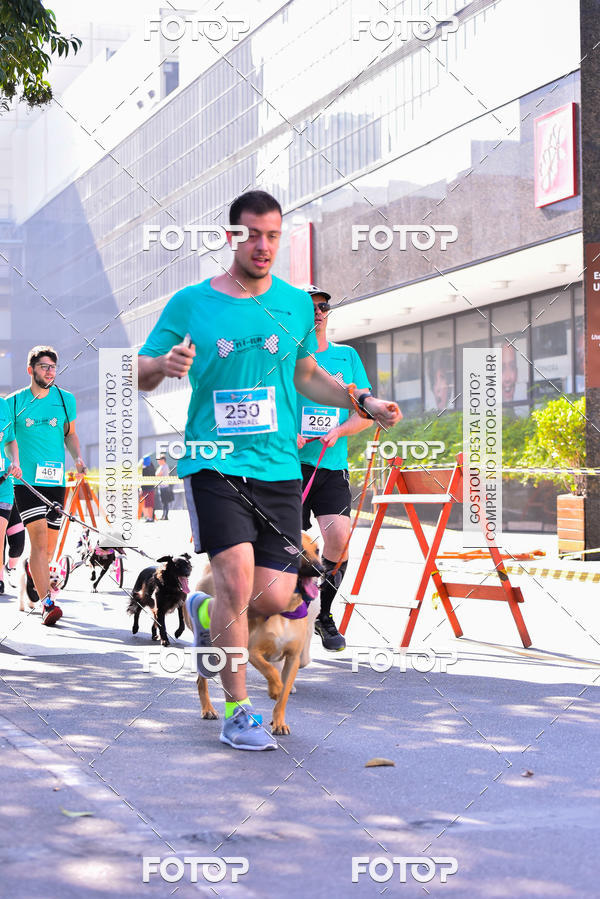 Buy your photos of the event2 Pet Run Shopping Eldorado  on Fotop