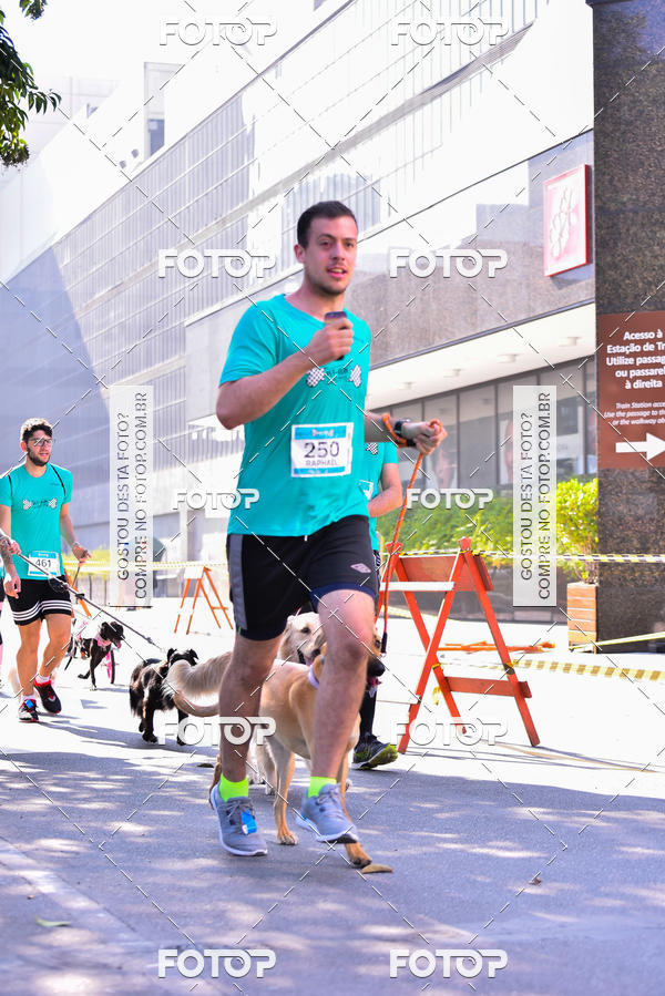 Buy your photos of the event2 Pet Run Shopping Eldorado  on Fotop