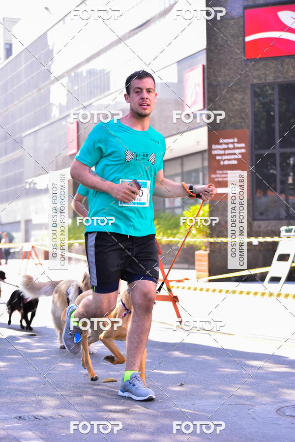 Buy your photos of the event2 Pet Run Shopping Eldorado  on Fotop