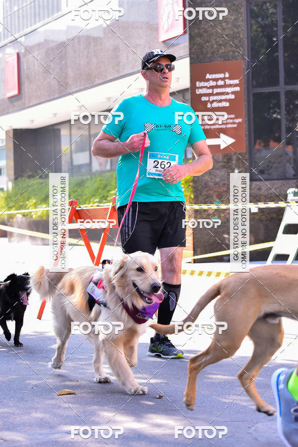 Buy your photos of the event2 Pet Run Shopping Eldorado  on Fotop
