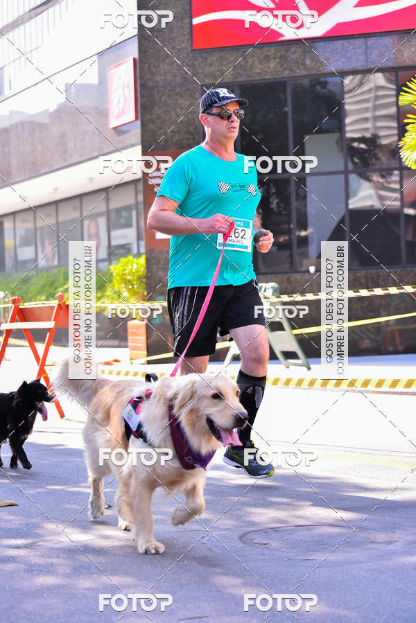 Buy your photos of the event2 Pet Run Shopping Eldorado  on Fotop