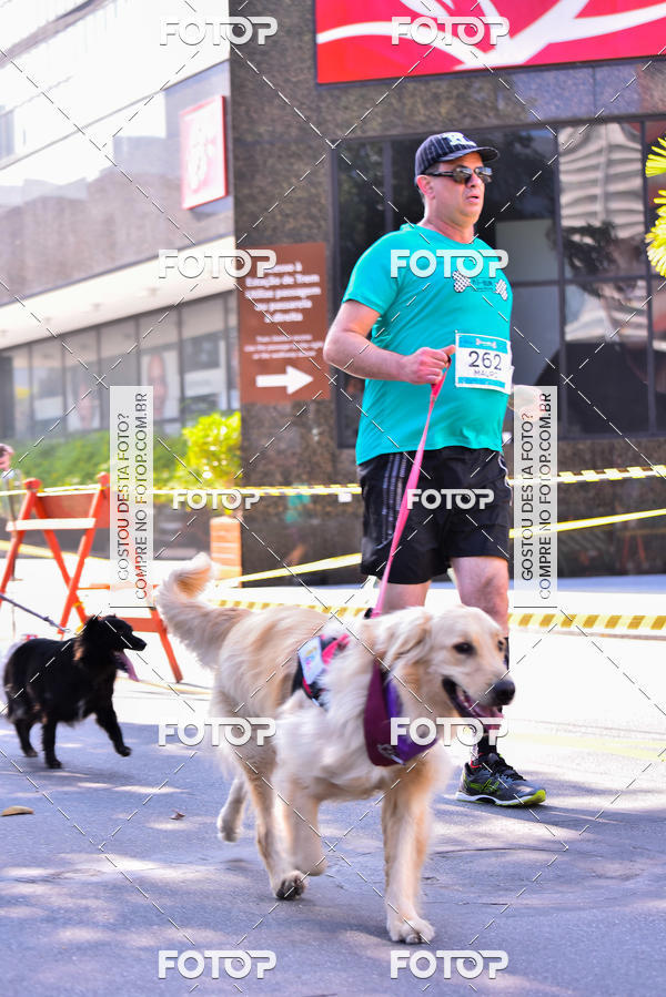 Buy your photos of the event2 Pet Run Shopping Eldorado  on Fotop