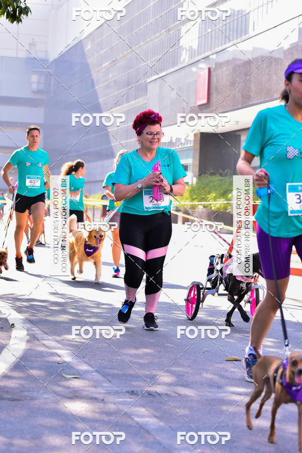 Buy your photos of the event2 Pet Run Shopping Eldorado  on Fotop