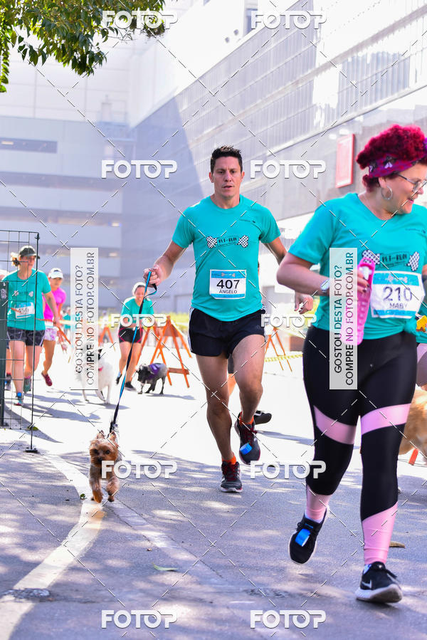 Buy your photos of the event2 Pet Run Shopping Eldorado  on Fotop