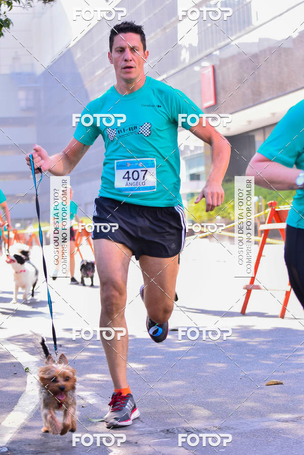 Buy your photos of the event2 Pet Run Shopping Eldorado  on Fotop