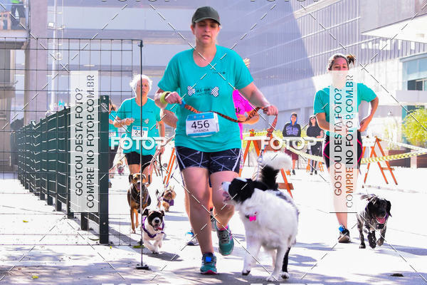 Buy your photos of the event2 Pet Run Shopping Eldorado  on Fotop