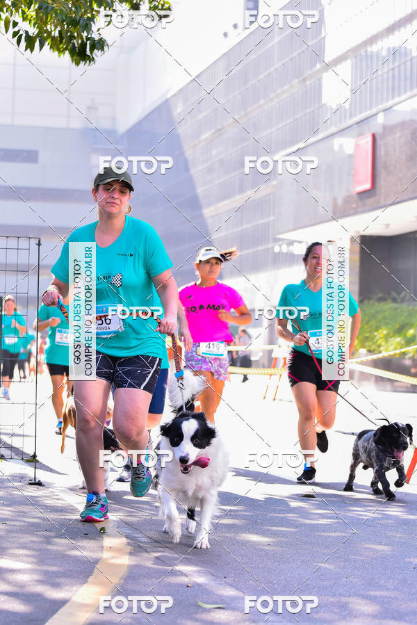 Buy your photos of the event2 Pet Run Shopping Eldorado  on Fotop