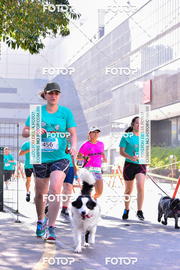 Buy your photos of the event2 Pet Run Shopping Eldorado  on Fotop