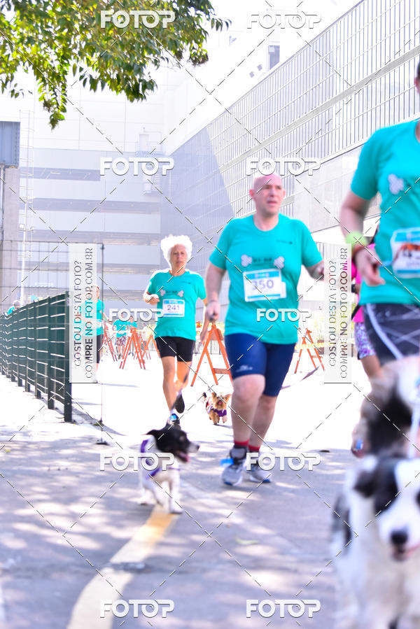 Buy your photos of the event2 Pet Run Shopping Eldorado  on Fotop