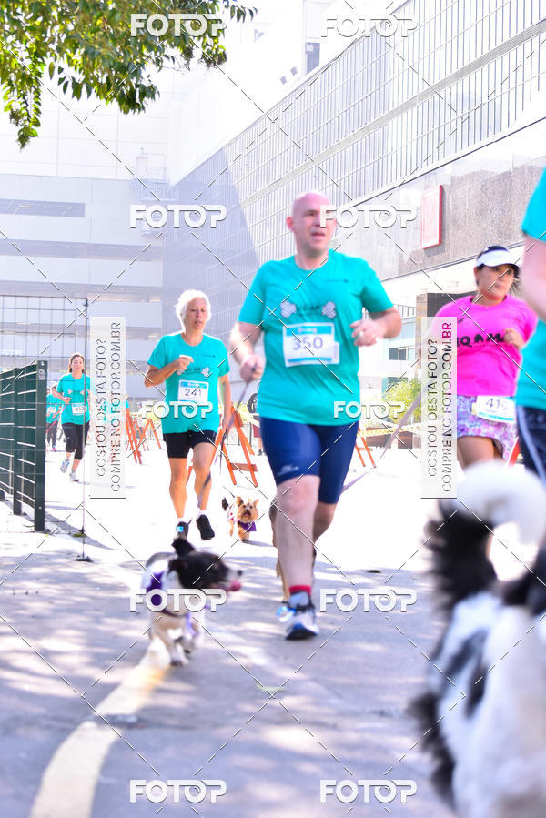 Buy your photos of the event2 Pet Run Shopping Eldorado  on Fotop