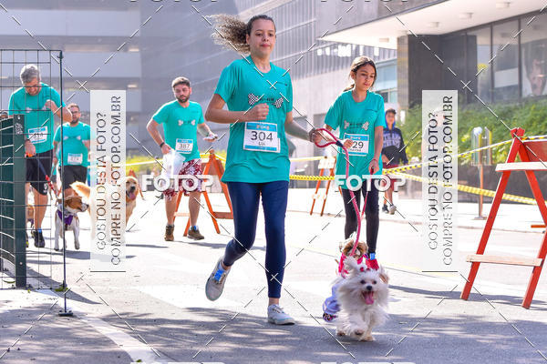 Buy your photos of the event2 Pet Run Shopping Eldorado  on Fotop