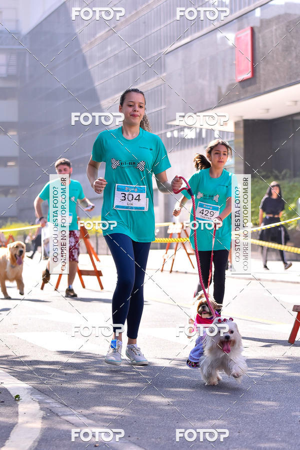 Buy your photos of the event2 Pet Run Shopping Eldorado  on Fotop