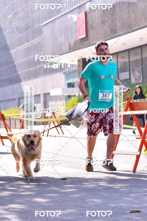 Buy your photos of the event2 Pet Run Shopping Eldorado  on Fotop