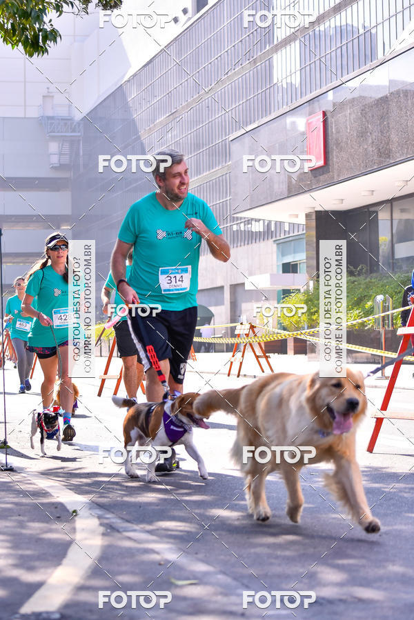 Buy your photos of the event2 Pet Run Shopping Eldorado  on Fotop