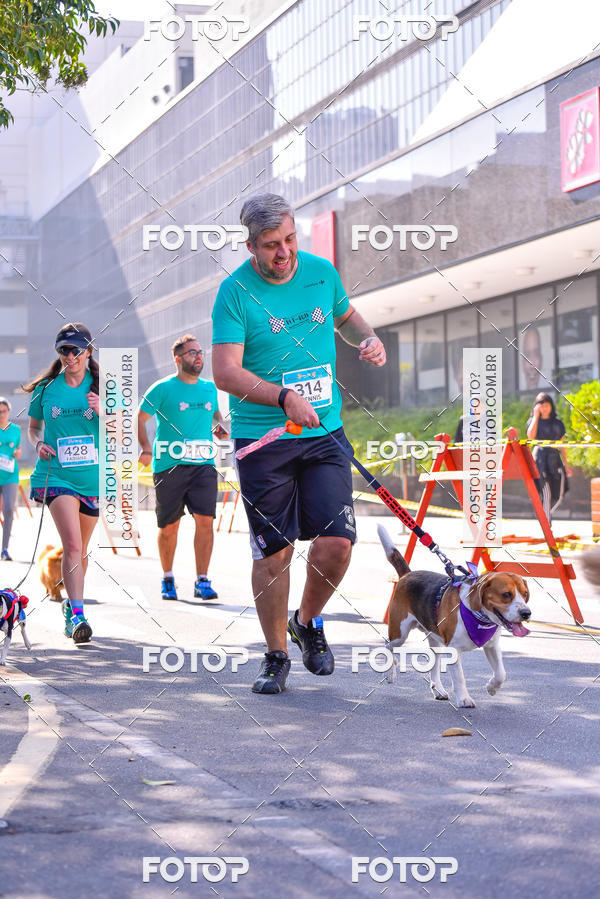 Buy your photos of the event2 Pet Run Shopping Eldorado  on Fotop