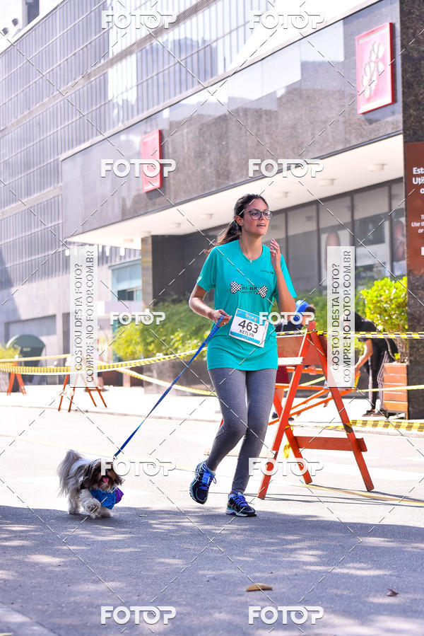 Buy your photos of the event2 Pet Run Shopping Eldorado  on Fotop
