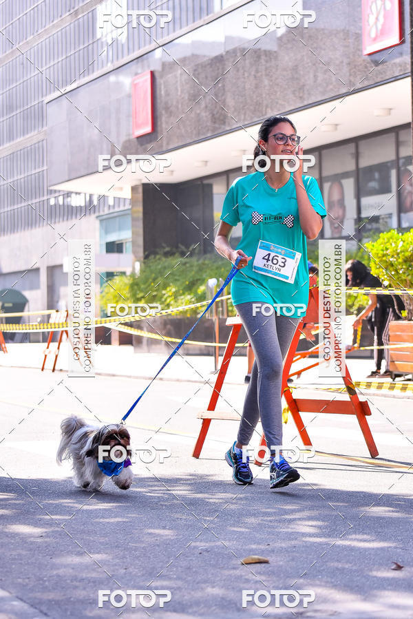 Buy your photos of the event2 Pet Run Shopping Eldorado  on Fotop