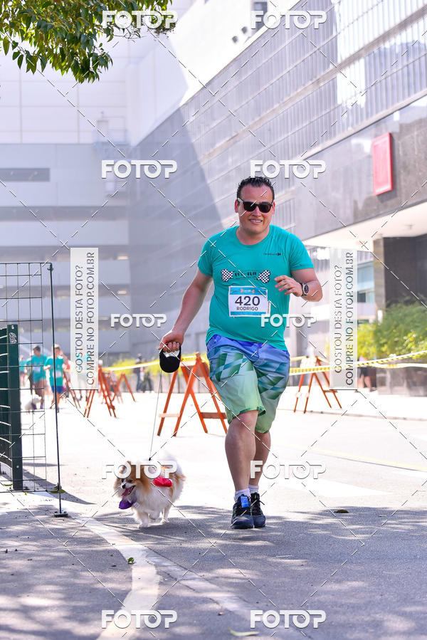 Buy your photos of the event2 Pet Run Shopping Eldorado  on Fotop