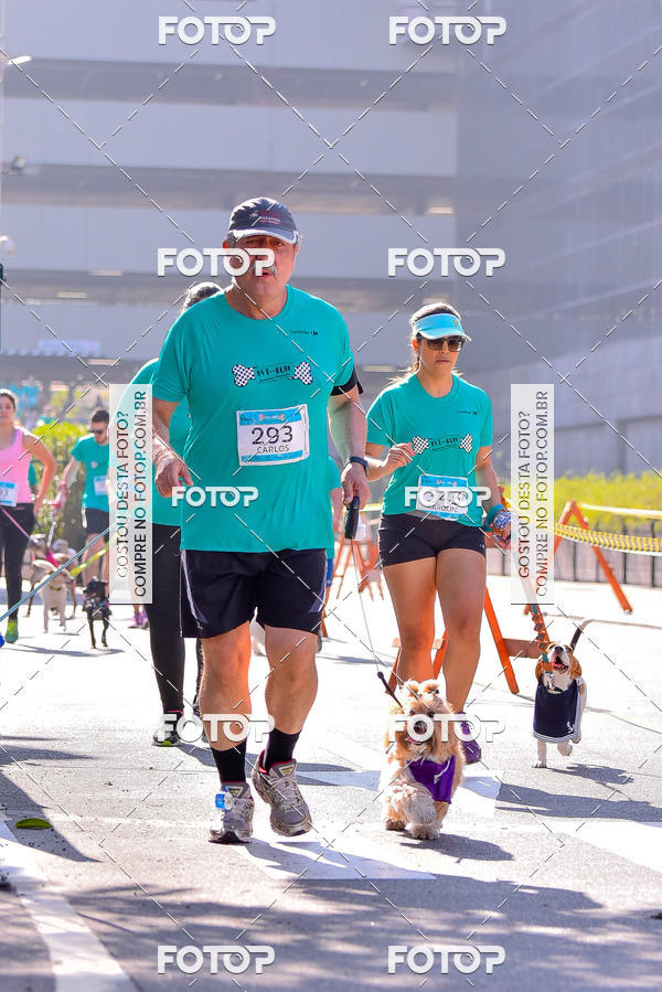 Buy your photos of the event2 Pet Run Shopping Eldorado  on Fotop