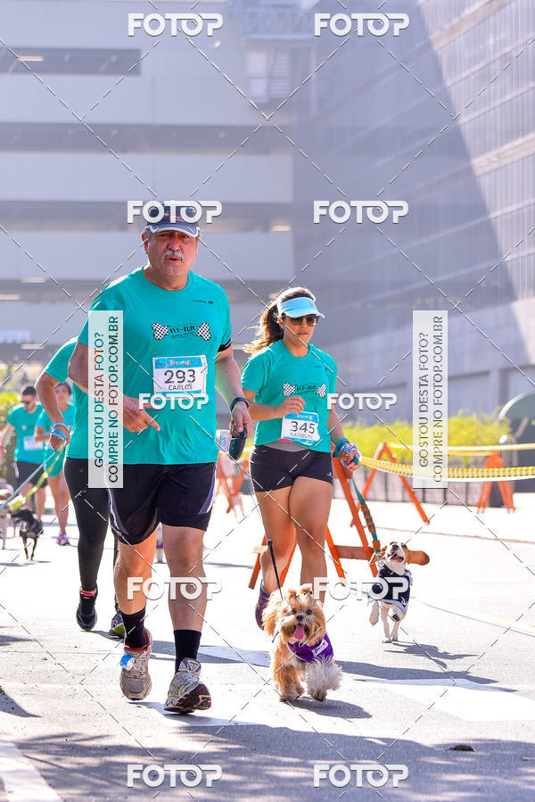 Buy your photos of the event2 Pet Run Shopping Eldorado  on Fotop