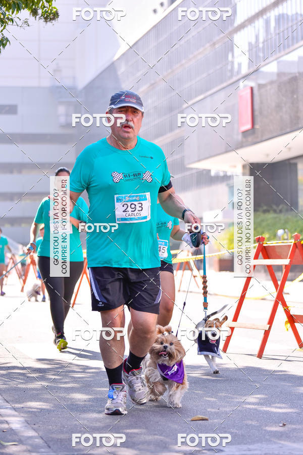 Buy your photos of the event2 Pet Run Shopping Eldorado  on Fotop