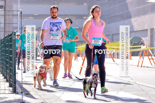 Buy your photos of the event2 Pet Run Shopping Eldorado  on Fotop