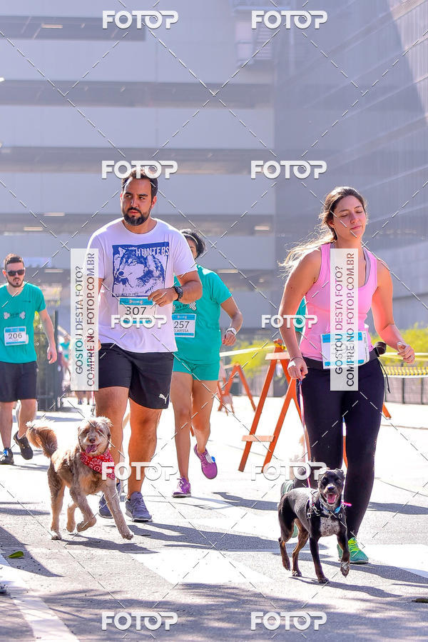 Buy your photos of the event2 Pet Run Shopping Eldorado  on Fotop