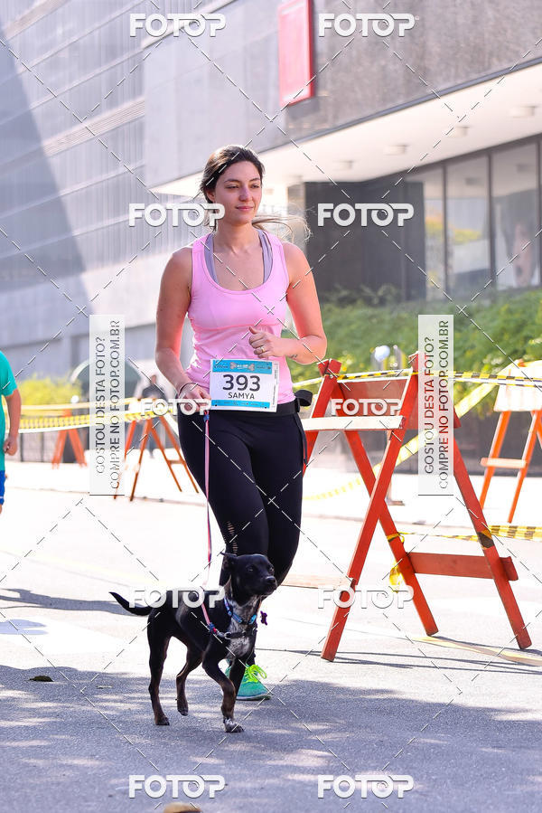 Buy your photos of the event2 Pet Run Shopping Eldorado  on Fotop