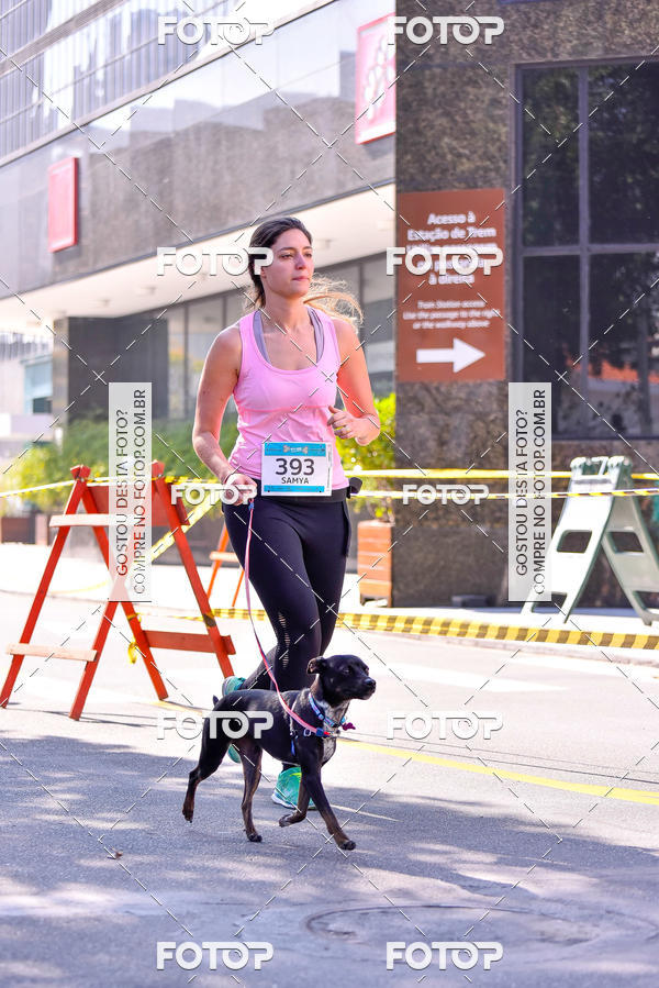 Buy your photos of the event2 Pet Run Shopping Eldorado  on Fotop