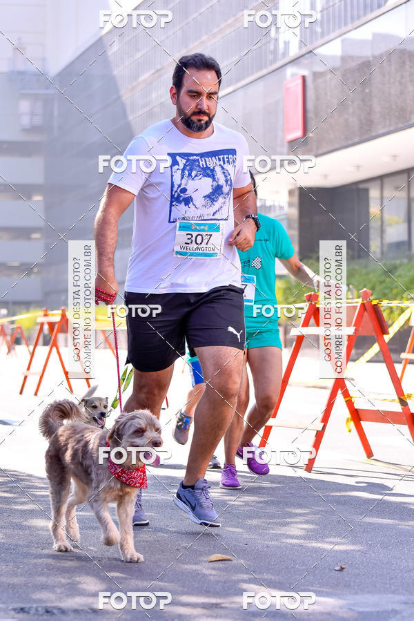 Buy your photos of the event2 Pet Run Shopping Eldorado  on Fotop