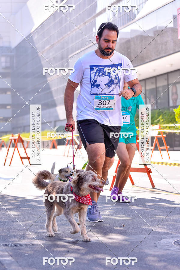Buy your photos of the event2 Pet Run Shopping Eldorado  on Fotop