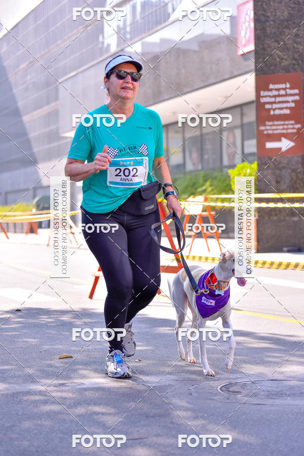 Buy your photos of the event2 Pet Run Shopping Eldorado  on Fotop
