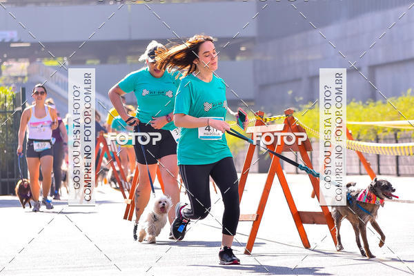 Buy your photos of the event2 Pet Run Shopping Eldorado  on Fotop