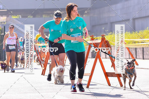 Buy your photos of the event2 Pet Run Shopping Eldorado  on Fotop