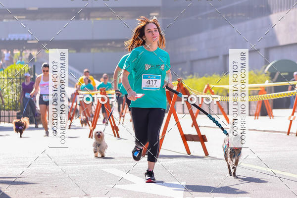 Buy your photos of the event2 Pet Run Shopping Eldorado  on Fotop