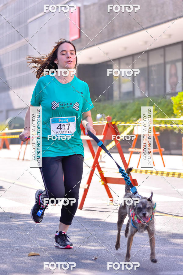Buy your photos of the event2 Pet Run Shopping Eldorado  on Fotop
