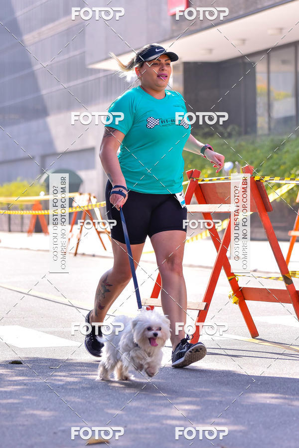 Buy your photos of the event2 Pet Run Shopping Eldorado  on Fotop
