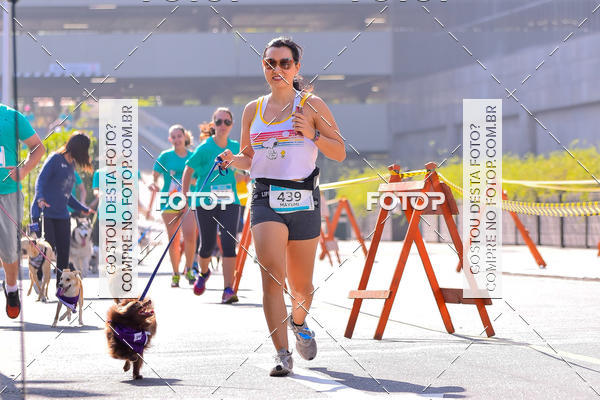 Buy your photos of the event2 Pet Run Shopping Eldorado  on Fotop