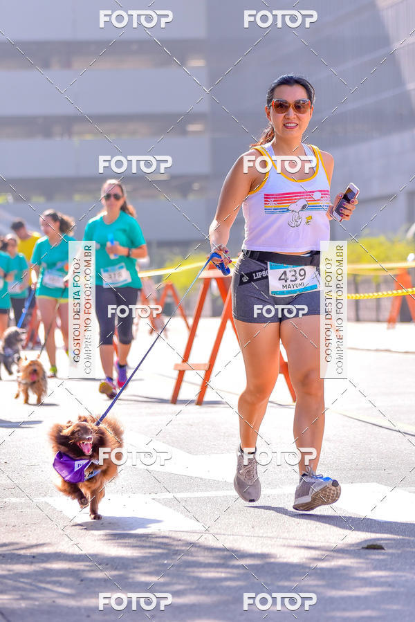 Buy your photos of the event2 Pet Run Shopping Eldorado  on Fotop