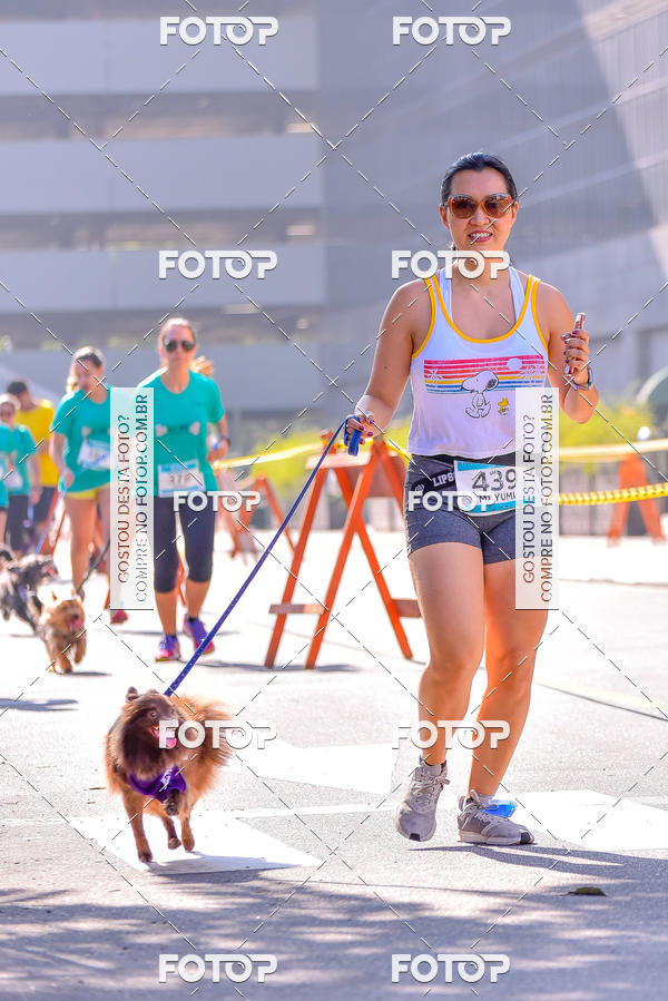 Buy your photos of the event2 Pet Run Shopping Eldorado  on Fotop