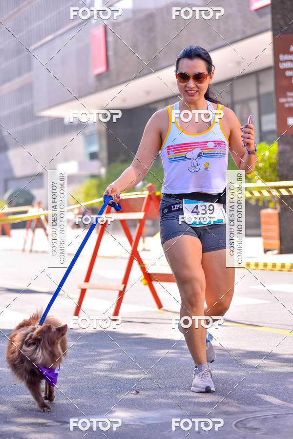 Buy your photos of the event2 Pet Run Shopping Eldorado  on Fotop